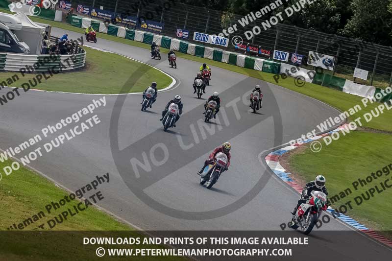 Vintage motorcycle club;eventdigitalimages;mallory park;mallory park trackday photographs;no limits trackdays;peter wileman photography;trackday digital images;trackday photos;vmcc festival 1000 bikes photographs